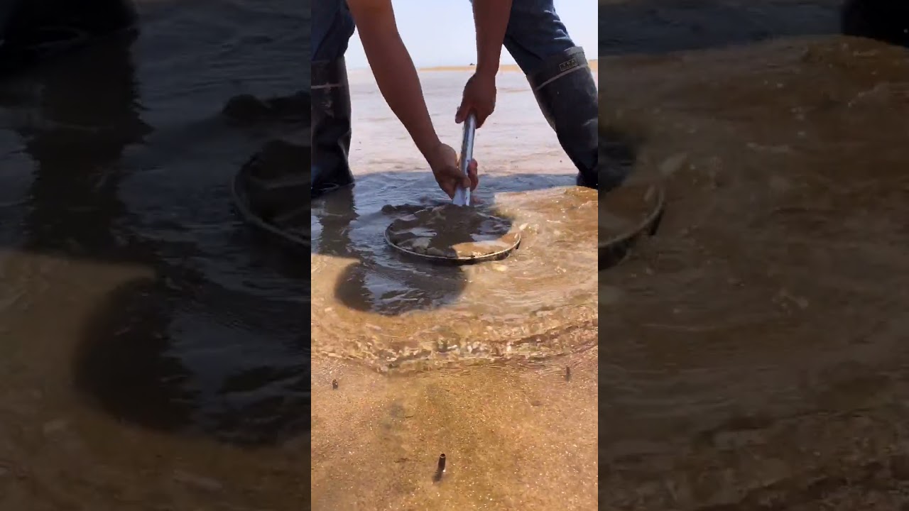 wow Amazing Big Eel Fishing 