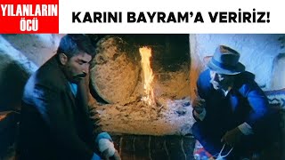 Yılanların Öcü Türk Filmi | Haceli Karısını Bayram&#39;a Kaptırıyor