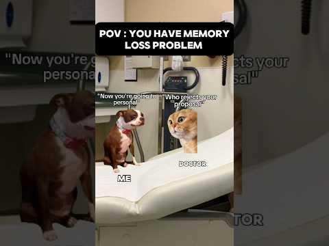 لديك مشكلة في فقدان الذاكرة مقاطع قصيرة ميمز القطط ميمز مألوفة موجز المقاطع القصيرة 