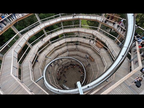 Avondale Tree Top Walk | Beyond The Trees Wicklow
