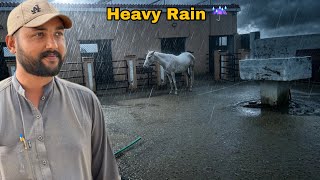 Allah Khair Kare! Sawan Ki Pehli Baarish Mein Aaya Bada Sailaab 🚨 Horse Rescue