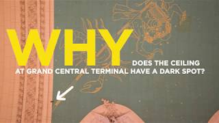 WHY Was A Tiny Dirt Patch Left On The Ceiling Of Grand Central Terminal?