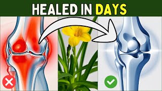 No More Arthritis: 3 Potent African Potato Secrets for Instant Joint Pain Relief!