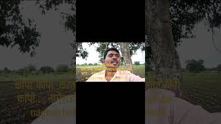 Download Lagu COPY COPY DJ SAYA REMIX HIGH GAIN MP3 MP3