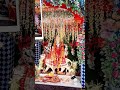 Nimiya Ke Dhadi Maiya Jhuluwa Lagwali #shortvideo #durgapuja #comingsoondurgapuja