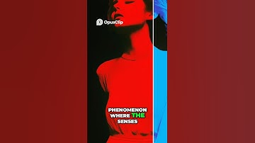 What If You Could See Music?