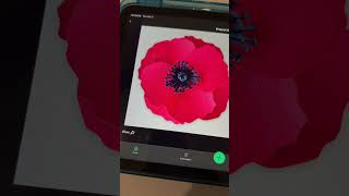 Beginners Cricut Design Space Interface