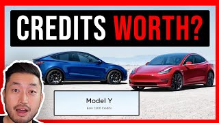 Player Profile How much are Tesla Referral Credits WORTH?