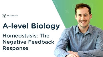 Homeostasis: The Negative Feedback Response | A-level Biology | OCR, AQA, Edexcel