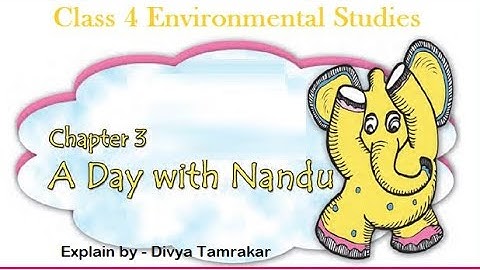 Chapter 3 A day With Nandu (part 2)