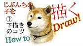 動物の描き方 柴犬のリアルなイラストが誰でも簡単に上手くなる方法 Howtodrawshibainu Youtube