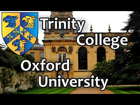 Vidéo: Univers Trinity