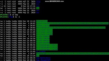 How to Delete Checkpoints if Issues When Upgrading the Dfinity SDK
