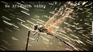 Cafone - Na Křídlech Vážky Prod. Edwin Clash