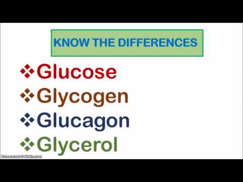 Vidéo: Différence Entre Le Glucagon Et Le Glycogène