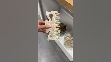 target finds 🎯 #explore #smallyoutuber #minivlog #targetfinds