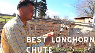 Best and Easiest Longhorn Squeeze Chute
