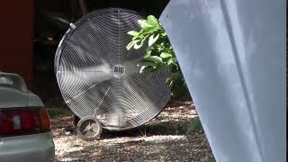 Big Fan