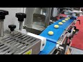 Yc1701 encrusting machine soft cookies machine