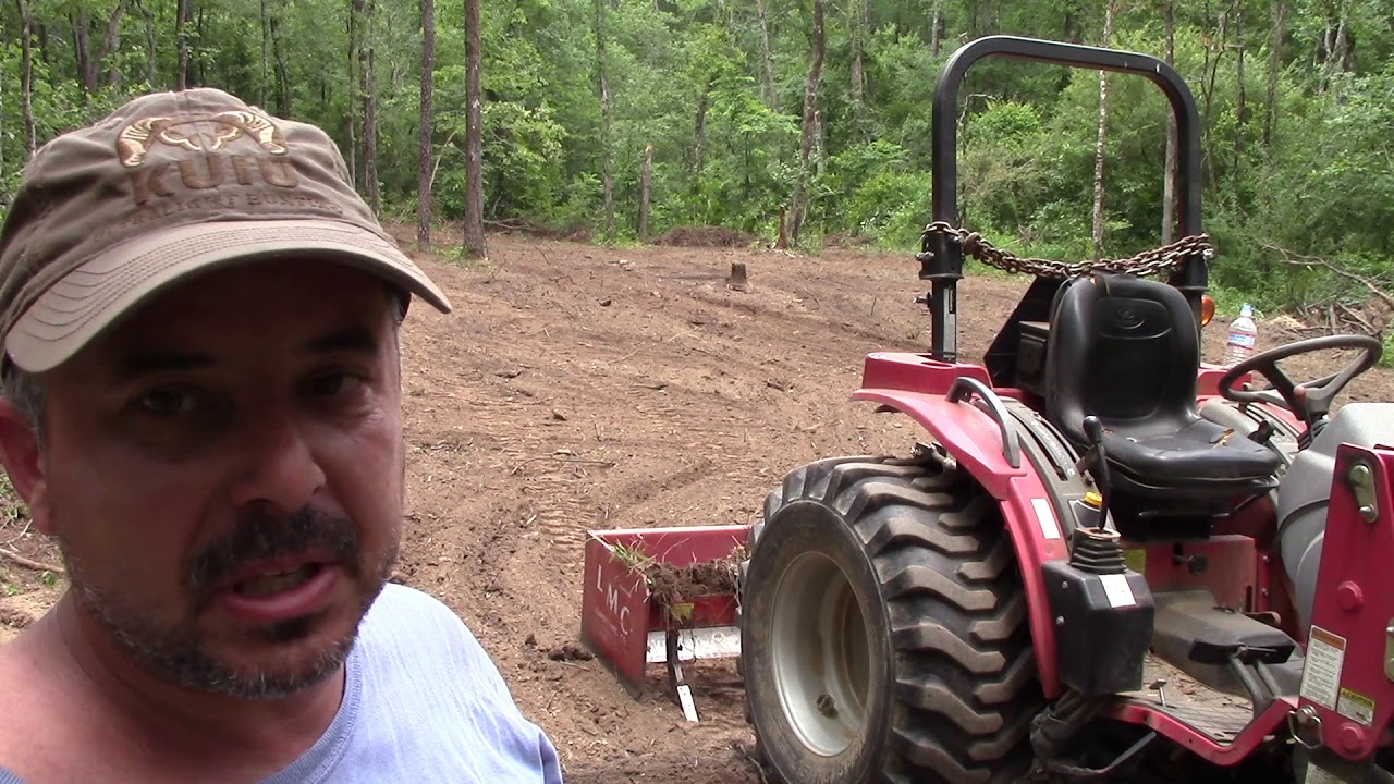 Summer Foodplots: Iron Clay Peas