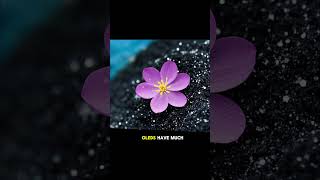 AMOLED vs OLED Explained!