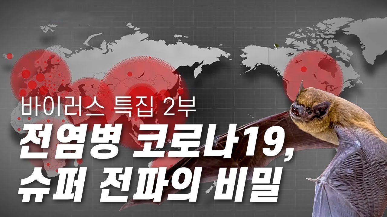 코로나 바이러스 리뷰