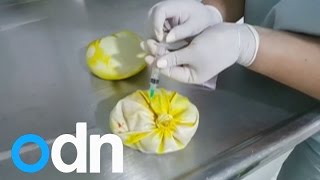Drug bust! Woman smuggles cocaine in breast implants in Colombia