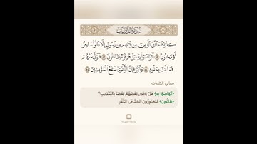 السراج في بيان غريب القران سورة الذاريات 13 مع تلاوة الشيخ سعد الغامدي