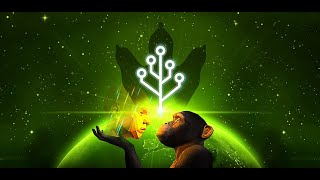 Cell To Singularity - Mesozoic Valley