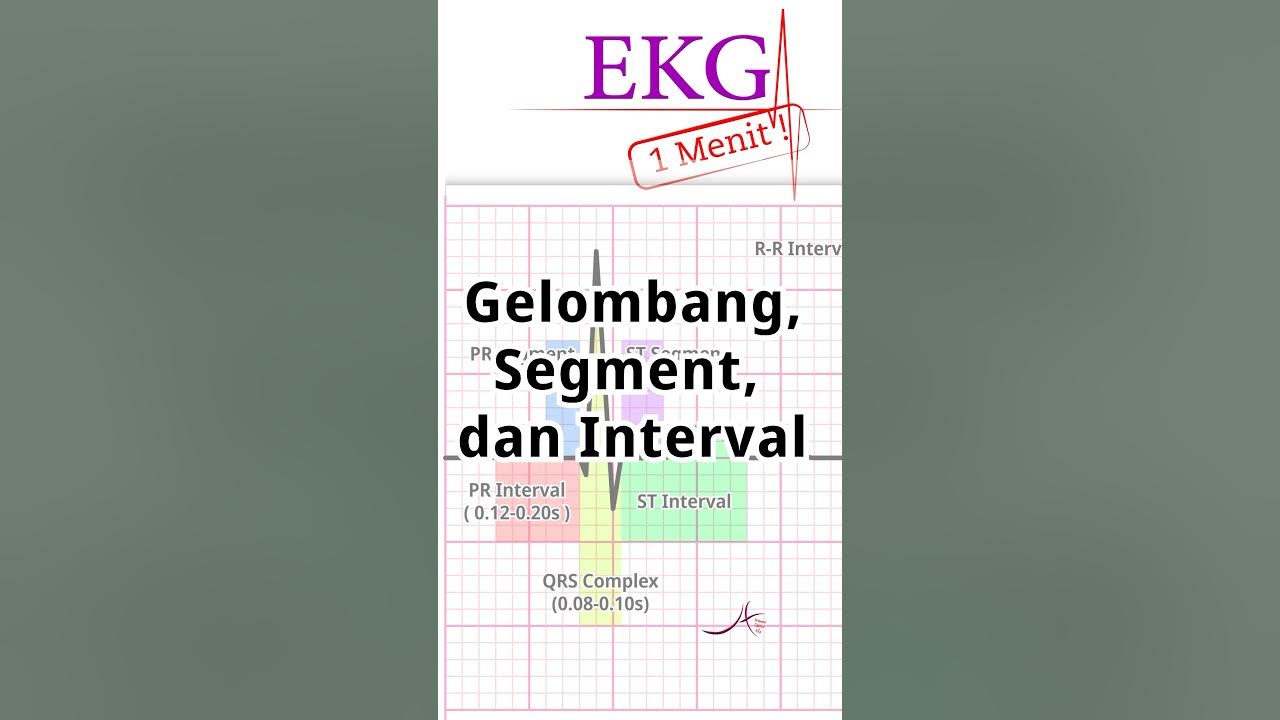EKG 1 Menit: Mengenal Gelombang, Segment, dan Interval - YouTube