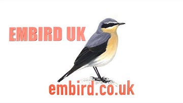 Embird UK - Embird Embroidery Software