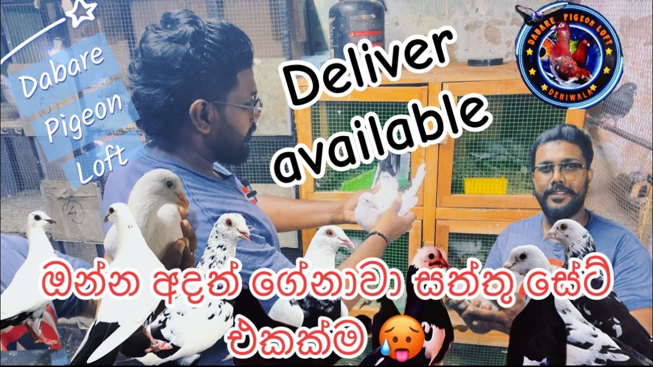 හැමොම මග බලාගේන හිටපු video එක 😱