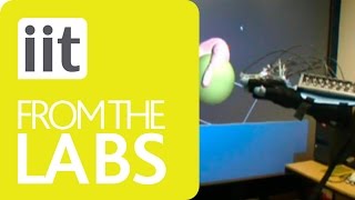 Rehab - A cable-driven actuated hand exoskeleton
