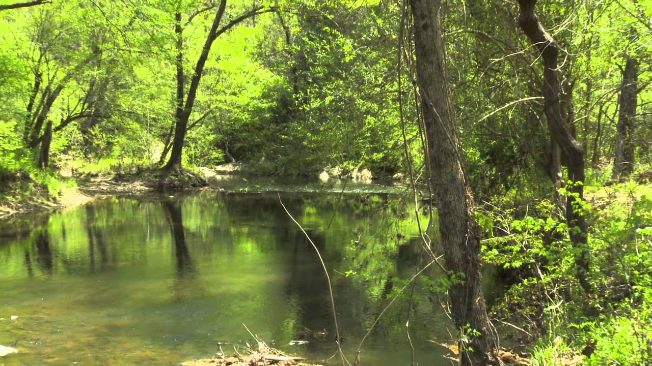 365 Acres with Creek for Sale in Chatham County YouTube