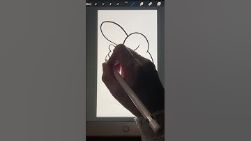 How to create a perfect phone wallpaper with Procreate📱🐰