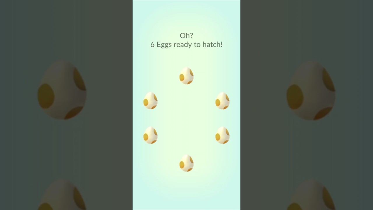 6 x 5km GO Fest Regional Egg Hatching Video - Pokémon GO - 