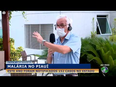 Este ano foram notificados 152 casos de malária no Piauí