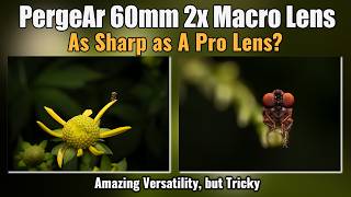 Is the $200 Pergear Macro Lens as Sharp as  Pro Lens?  You Will See!