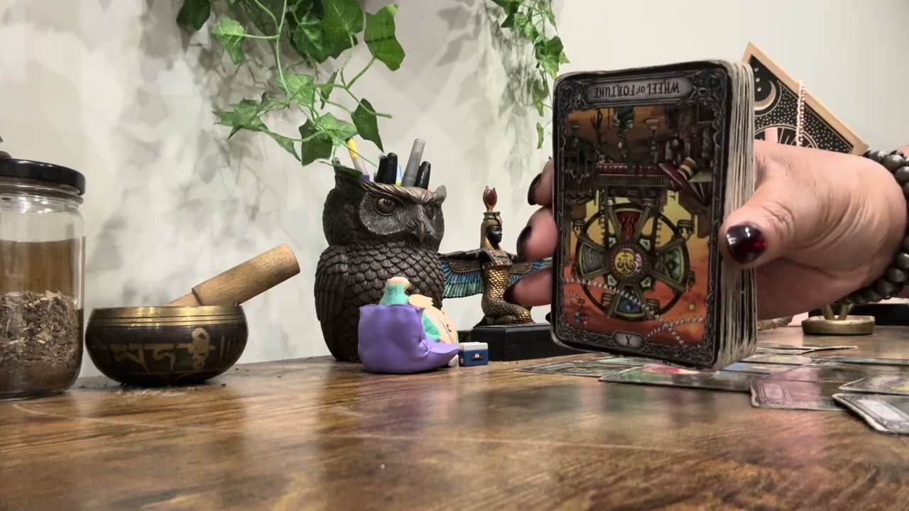 Collective Read 2.25 • This Person Messed Up Their Own Bag Trying To Stunt On You 