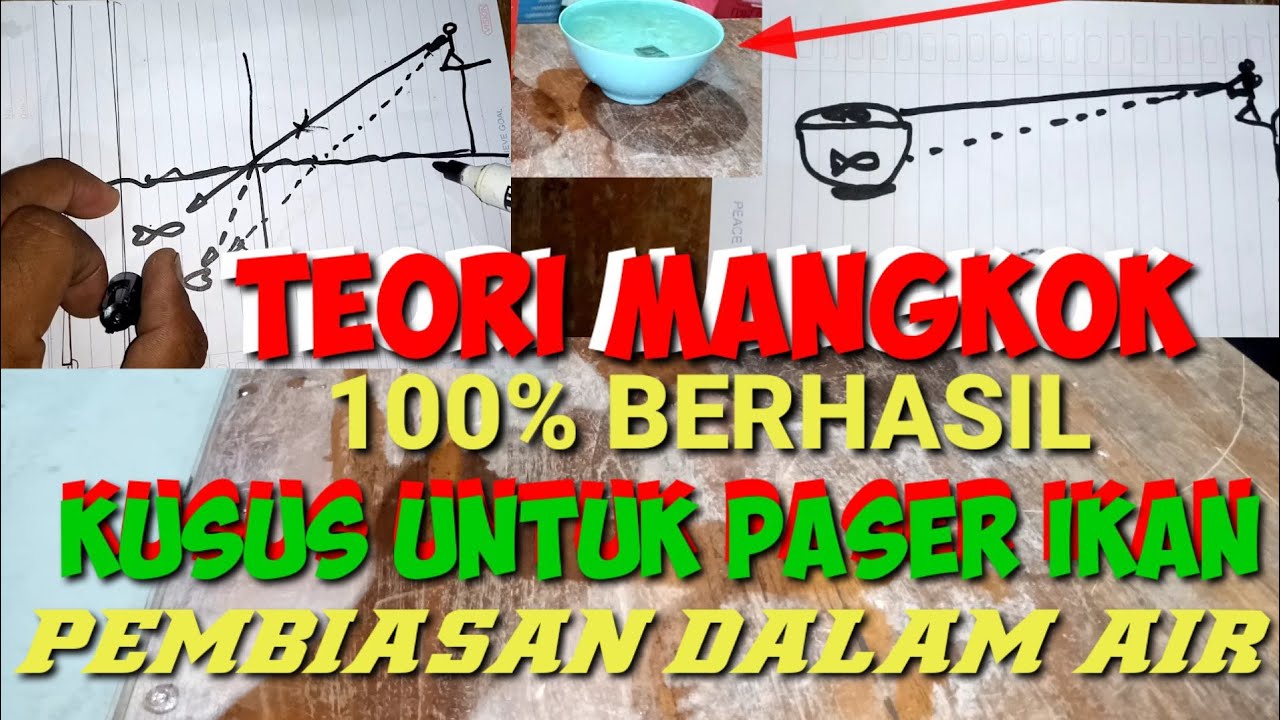 CARA MEMBIDIK IKAN DI DALAM AIR