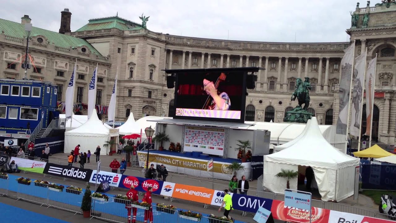 Vienna City Marathon 2014 - Impressions and Finish of Relay 646
