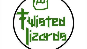 Twisted Lizards - Party Now
