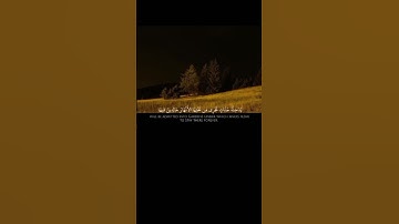 تِلْكَ حُدُودُ اللَّهِ وَمَنْ يُطِعِ اللَّهَ وَرَسُولَهُ||تلاوة خاشعة بصوت الشيخ ياسر الدوسري 💗🌿