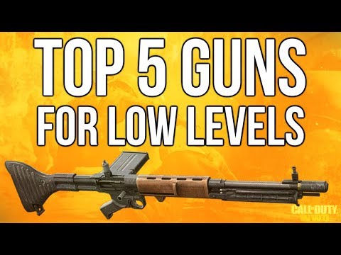 WW2 In Depth: Top 5 Guns For Low Levels (Call of Duty: WWII)