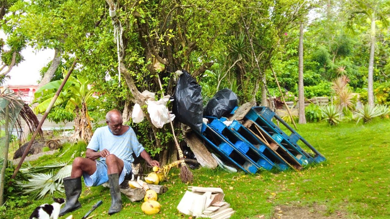 Island village Saint Lucia...Caribbean Grandpa feeds us refreshing coconut on a rainy Saturday AM
