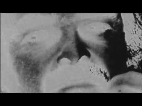 Ivan The Tolerable - 'The Cat Song (Black Dots)' (2019)
