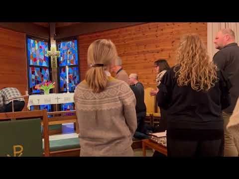 Nyheter TV12 BØNNEHUS Nyheter TV12 BØNNEHUS