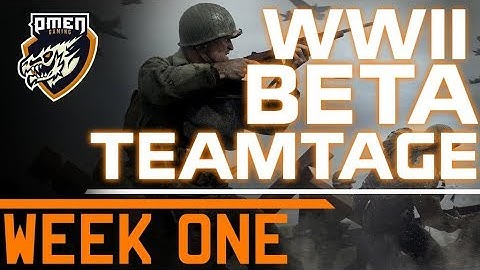 COD WWII Beta 1 Teamtage