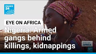 Armed Gangs Behind Killings Kidnappings In Nigeria  France 24 English