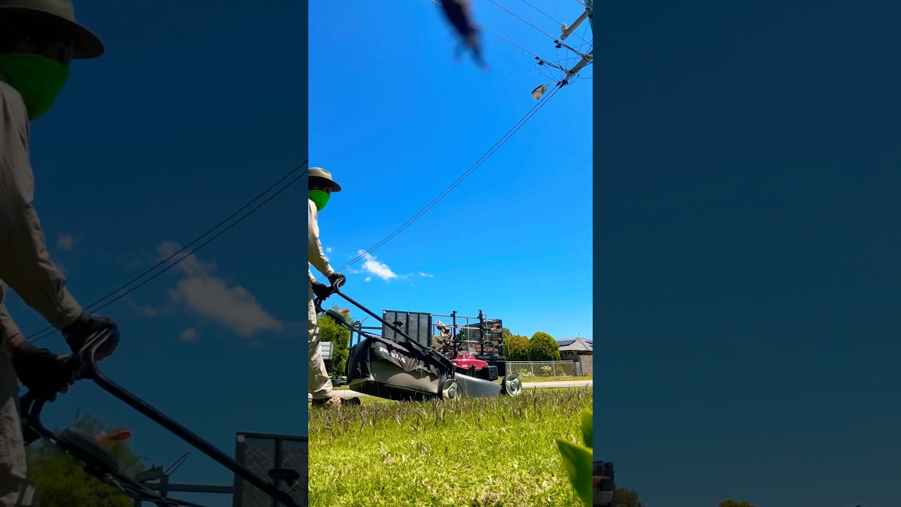 Seeding lawns Always Show the best Transformation 